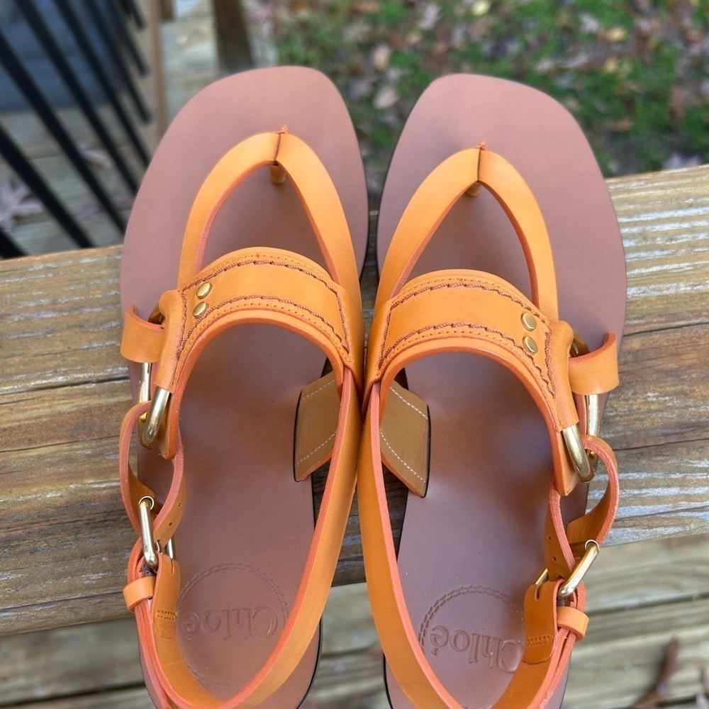 CHLOÉ Demi Leather Thong Sandals NEW! - Picture 4 of 6